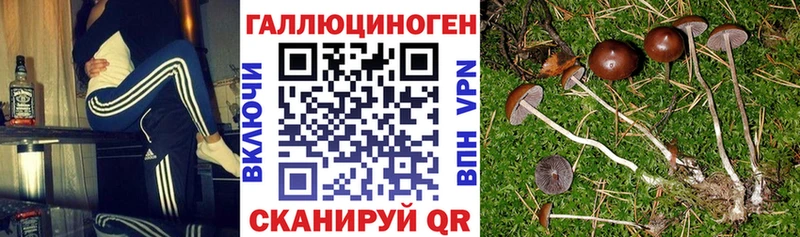 Галлюциногенные грибы мухоморы  Буинск 